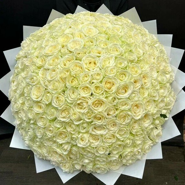 Букет цветов "201 белая роза"